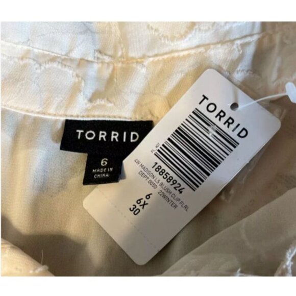 Torrid +6 Blush Pink Sheer Clip Floral Chiffon Button Collar Long Sleeve Blouse - Picture 6 of 6